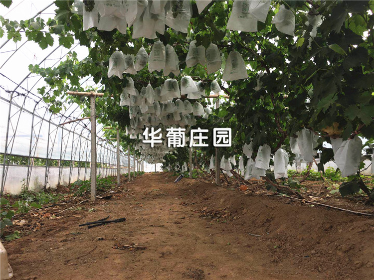 XCLP2-25T/30T平面液壓裁斷機 XCLP2-25T/30T平面液壓裁斷機